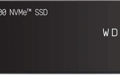 WD_Black SN7100 1TB NVMe SSD